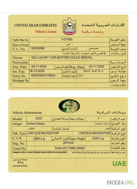 Carte d'immatriculation du véhicule des Émirats arabes unis